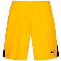 Шорты PUMA TEAM SHORTS