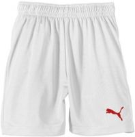 Шорты PUMA Pitch Shorts WithInnerbrief (SS15) Шорты PUMA Pitch Shorts WithInnerbrief (SS15)
