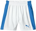 Шорты PUMA Pitch Shorts WithInnerbrief (SS15)