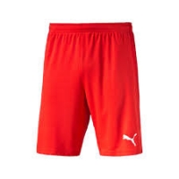 PUMA CUP SHORTS SS19 70403440