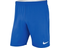 Шорты NIKE DRY LSR IV SHORT W (SP19)