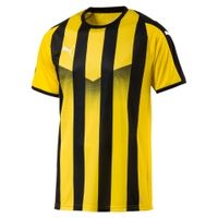 Футболка PUMA LIGA Jersey Striped