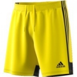 Шорты ADIDAS TASTIGO19 SHORT