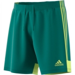 Шорты ADIDAS TASTIGO19 SHORT