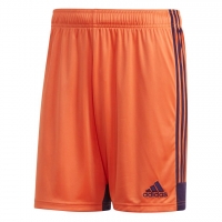 Шорты ADIDAS TASTIGO19 SHORT DP3253 - вид 1 миниатюра