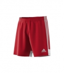 Шорты ADIDAS TASTIGO19 SHORT DP3681 - вид 1 миниатюра