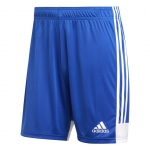 Шорты ADIDAS TASTIGO19 SHORT DP3682 - вид 1 миниатюра