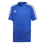 Футболка ADIDAS TIRO19 TR JSY DT5292 - вид 1 миниатюра