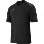 Футболка NIKE DRY STRKE JSY SS (SU19)