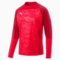 Свитер PUMA CUP Training Sweat Core (SS19)