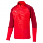 Свитер PUMA CUP Training 1 4 Zip T Core (SS19)