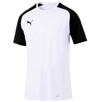 Футболка PUMA CUP Sideline Tee Core (SS19)