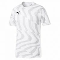 Футболка PUMA CUP Jersey Core (SS19)