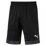 Шорты PUMA CUP SHORTS (SS19) Шорты PUMA CUP SHORTS (SS19)