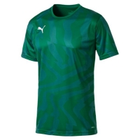 Футболка PUMA CUP Jersey Core (SS19) 70377505 - вид 1 миниатюра