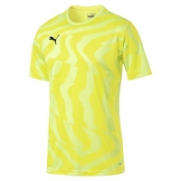 Футболка PUMA CUP Jersey Core (SS19)