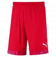 Шорты PUMA CUP SHORTS (SS19)