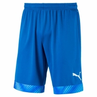 Шорты PUMA CUP SHORTS (SS19)