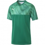Футболка PUMA CUP Jersey (SS19) 70377305 - вид 1 миниатюра