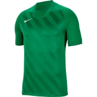 Футболка NIKE DRY CHALNG III JSY SS (SP20) BV6703-302 - вид 1 миниатюра