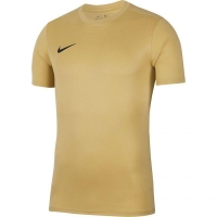 Футболка NIKE DRY PARK VII JSY SS (SP20) BV6708-729 - вид 1 миниатюра