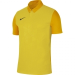 Футболка NIKE TROPHY IV JSY SS (SP20) BV6725-719 - вид 1 миниатюра