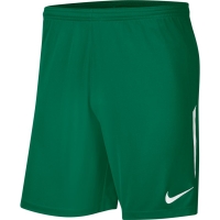 Шорты NIKE DRY LGE KNIT II SHORT NB (SP20) BV6852-302 - вид 1 миниатюра
