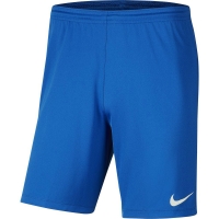 Шорты NIKE DRY PARK III SHORT NB K JR (SP20) BV6865-463 - вид 1 миниатюра