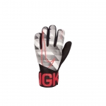 Вратарские перчатки NIKE GK MATCH JR-GFX (SP20) CQ4639-100 - вид 1 миниатюра