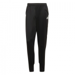 Штаны ADIDAS CON20 TRACK PANT (SS20) EA2485 - вид 1 миниатюра