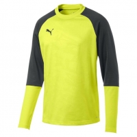 Свитер PUMA CUP Training Sweat Core (SS19)