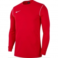 Свитер NIKE PARK20 CREW TOP (SP20) BV6875-657 - вид 1 миниатюра