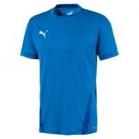 Футболка PUMA teamGOAL 23 Jersey (SS20) 70417102 - вид 1 миниатюра