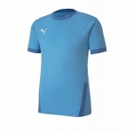 Футболка PUMA teamGOAL 23 Jersey (SS20) 70417118 - вид 1 миниатюра