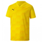 Футболка PUMA teamFINAL 21 Graphic Jersey (SS20) 70415007 - вид 1 миниатюра