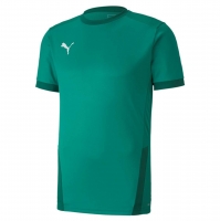 Футболка PUMA teamGOAL 23 Jersey (SS20) 70417105 - вид 1 миниатюра