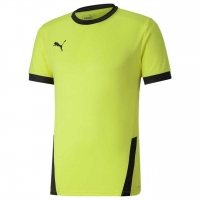 Футболка PUMA teamGOAL 23 Jersey (SS20) 70417123 - вид 1 миниатюра