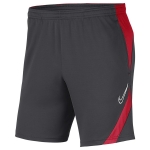 Шорты NIKE ACADEMY PRO SHORT KNIT (SP20) BV6924-062 - вид 1 миниатюра