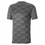 Футболка PUMA teamFINAL 21 Graphic Jersey (SS20) 70415013 - вид 1 миниатюра