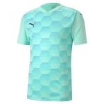 Футболка PUMA teamFINAL 21 Graphic Jersey (SS20) 70415021 - вид 1 миниатюра