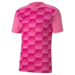Футболка PUMA teamFINAL 21 Graphic Jersey (SS20) 70415022 - вид 1 миниатюра
