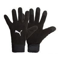 Перчатки PUMA teamLiga 21 Winter gloves