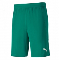 Шорты PUMA teamFINAL 21 knit Shorts (SS20) Шорты PUMA teamFINAL 21 knit Shorts (SS20)