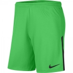 Шорты NIKE DRY LGE KNIT II SHORT NB (SP20) BV6852-329 - вид 1 миниатюра