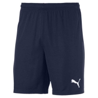 Шорты PUMA teamGOAL 23 knitShorts (SS20)