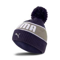 Шапка PUMA POM Beanie 02283302 - вид 1 миниатюра