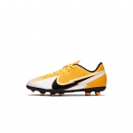 Бутсы NIKE VAPOR 13 CLUB FG/MG JR (HO20) AT8161-801 - вид 1 миниатюра