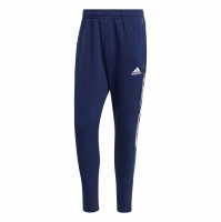 Штаны ADIDAS TIRO21 SW PNT (SS21)