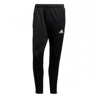 Штаны ADIDAS TIRO21 TR PNT Штаны ADIDAS TIRO21 TR PNT