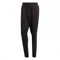 Штаны ADIDAS ZNE Pant (SS21) GM6543 - вид 1 миниатюра